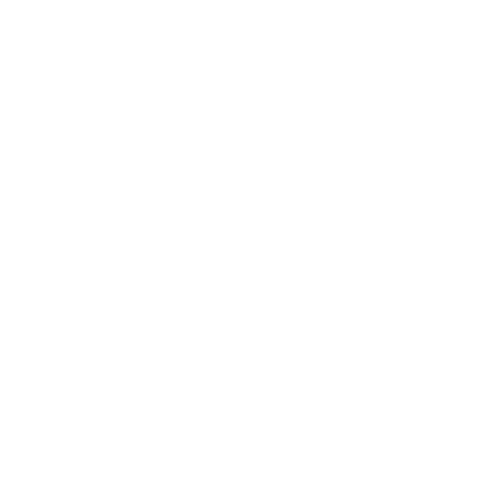 Zaydex logo
